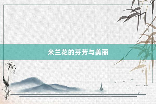 米兰花的芬芳与美丽