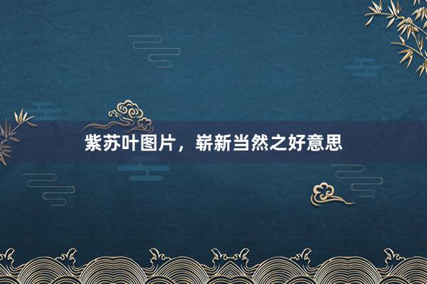 紫苏叶图片，崭新当然之好意思