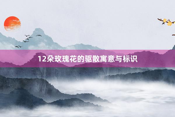 12朵玫瑰花的驱散寓意与标识